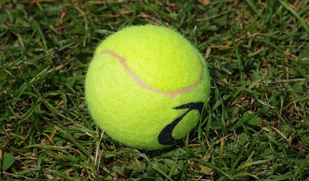 Tout savoir sur le tennis : règle du jeu, matériel, technique, joueurs connus, tournois célèbres